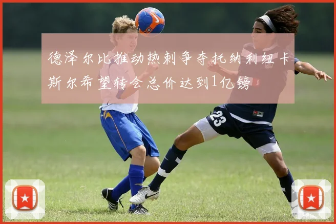 德泽尔比推动热刺争夺托纳利纽卡斯尔希望转会总价达到1亿镑